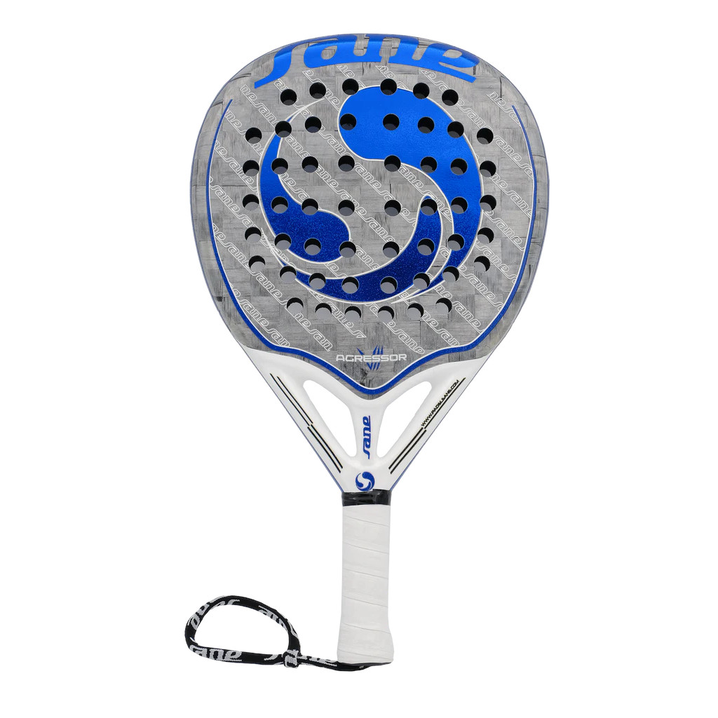 Sane Aggressor VII 2024