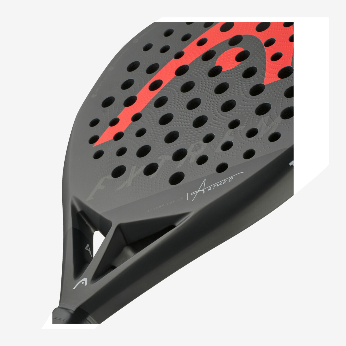 HEAD EXTREME PRO LTD - ARTURO COELLO 2024 - immagine 3